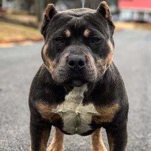 Meet your Posher, Cedric